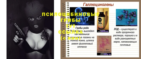 дживик Бугульма