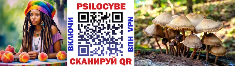 купить наркотик Липки MEGA ССЫЛКА Псилоцибиновые грибы Cubensis